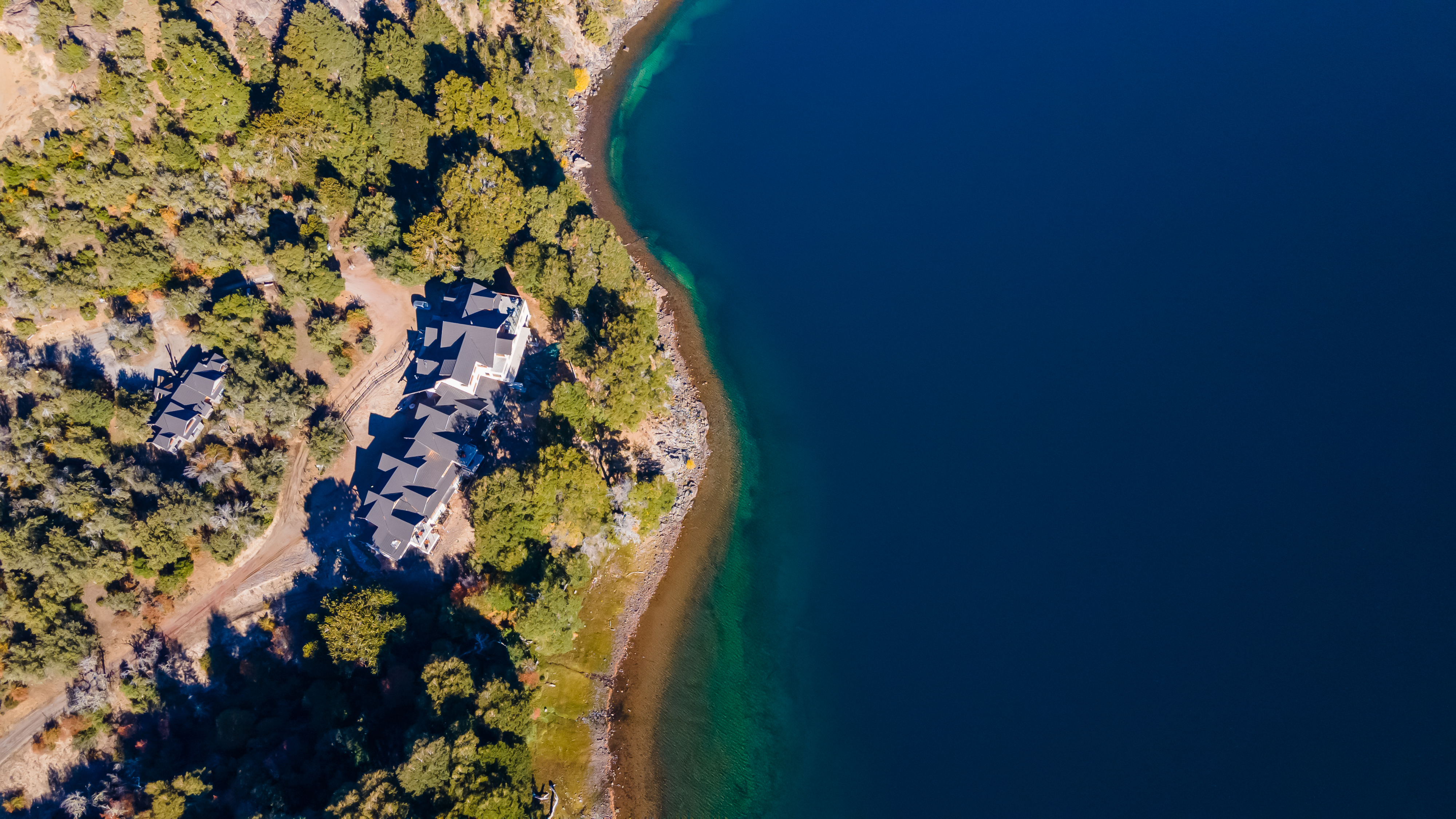Lago Aluminé y bosque de pehuenes en Villa Pehuenia, Neuquén, Patagonia Argentina
